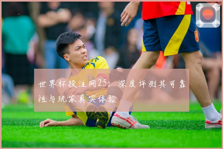 世界杯投注网25：深度评测其可靠性与玩家真实体验