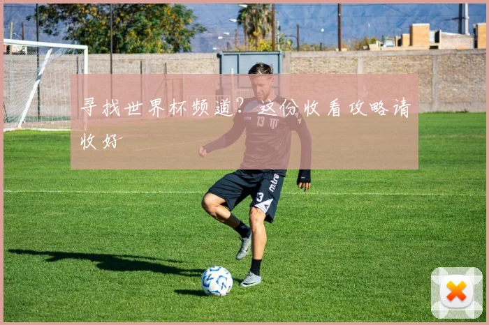 寻找世界杯频道?这份收看攻略请收好