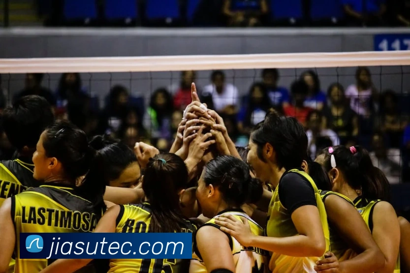 多媒体互动体验